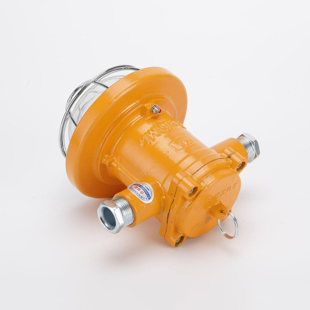 DGC22/127L（A）煤矿隔爆型LED支架灯