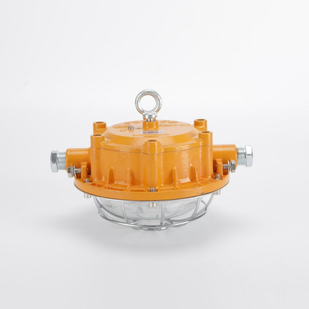 DGC32/127L（A）煤矿用隔爆型LED支架灯